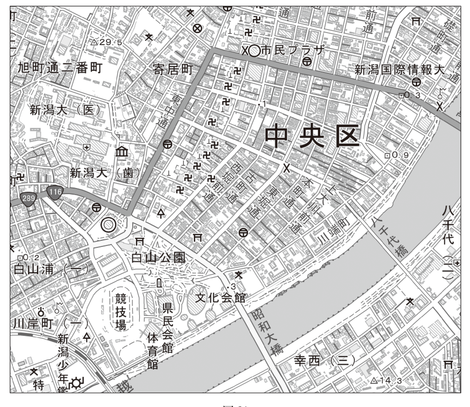 図21　国土地理院「地理院地図」の一部（縮尺変更・一部改変）。新潟市中央区の白山公園・文化会館・新潟大や三角点（29.5・14.3）などが示された地図